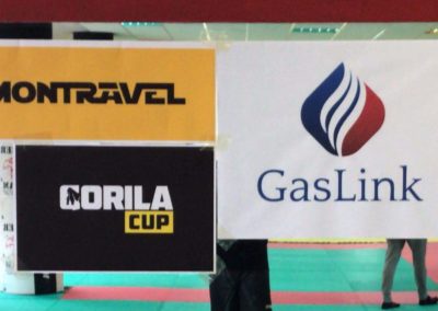 Gorila cup, Motravel, Gaslink